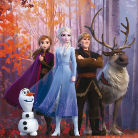 Tableau Disney - la reine des neiges - Anna, Elsa, Kristoff, Olaf et Sven - 35 cm x 35 cm