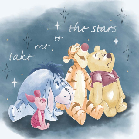 Tableau Disney - Winnie l'ourson - take me to the stars - 35 cm x 35 cm
