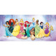 Tableau Disney princesses - toutes les princesses - 33 cm x 70 cm