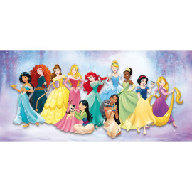 Tableau Disney princesses - toutes les princesses - 33 cm x 70 cm