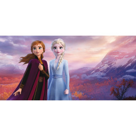 Tableau Disney - la reine des neiges - Elsa et sa sœur Anna - 33 cm x 70 cm