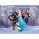 Poster XXL intisse La Reine des Neiges Disney Frozen 160X115 CM