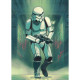 Poster XXL Mandolarian Imprimé Stormtrooper l200 x H280 cm