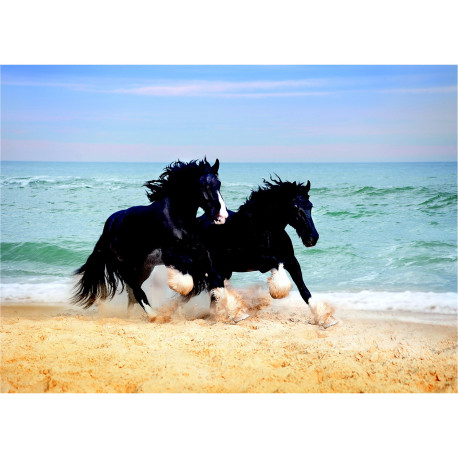 Poster Thème Horses On Beach - 155 x 110 cm