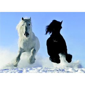 Poster Thème Horses Black And White - 155 x 110 cm