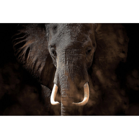 Poster Thème Elephant - 360 x 270 cm