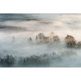 Poster Thème Misty Morning - 360 x 270 cm