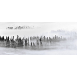 Poster Thème Foggy Morning - 360 x 270 cm